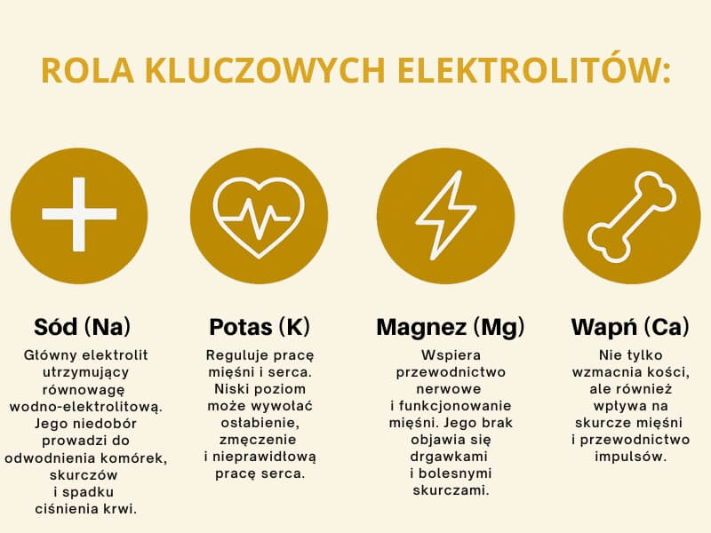 kluczowe elektrolity w organizmie i ich rola- infografika rola elektrolitów - infografika