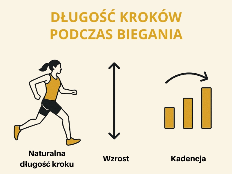 technika biegu a długość kroków