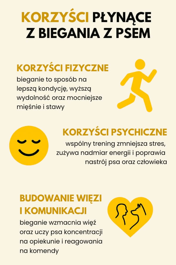 bieganie z psem a korzyści