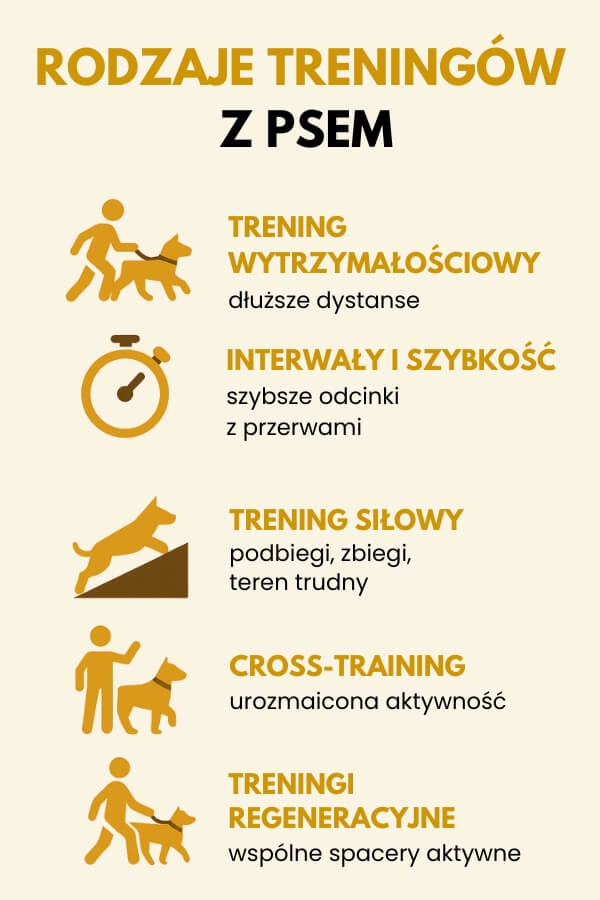 rodzaje treningów z psem - infografika