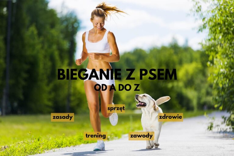Bieganie z psem – wszystko, co musisz wiedzieć