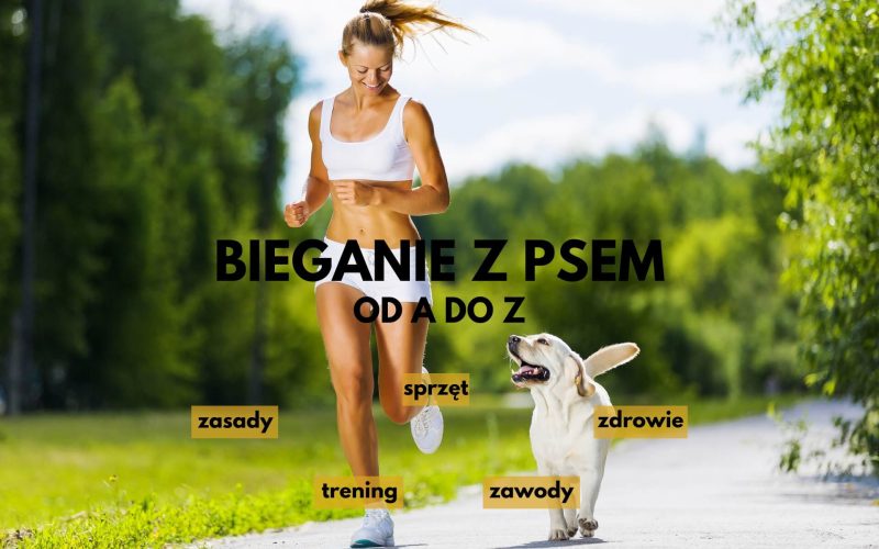bieganie z psem na zewnątrz