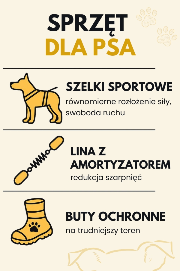 Canicross – co to i co jest potrzebne dla psa