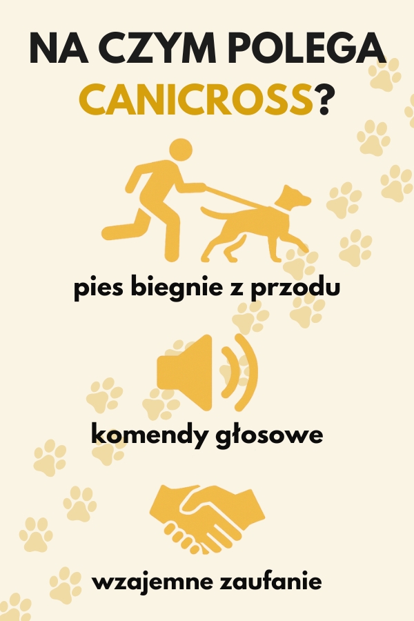 Canicross – co to jest i na czym polega