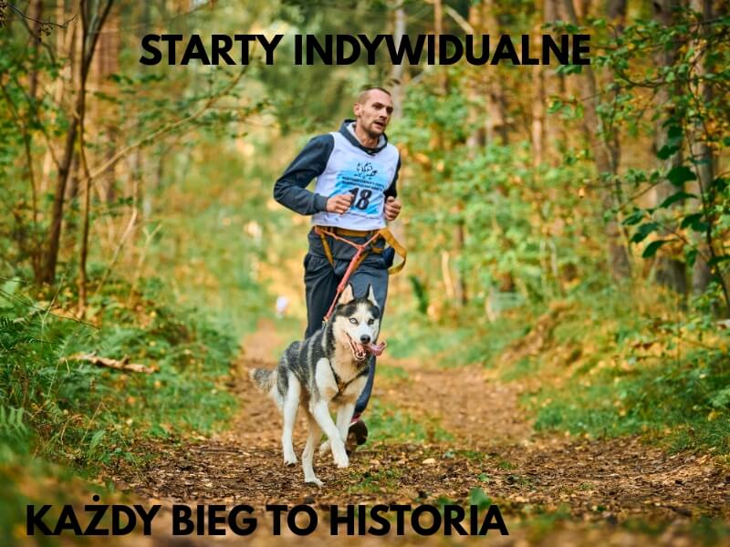 bieg canicrossu w lesie z psem husky