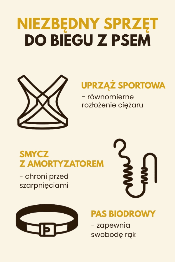 bieganie z psem a niezbędny sprzęt