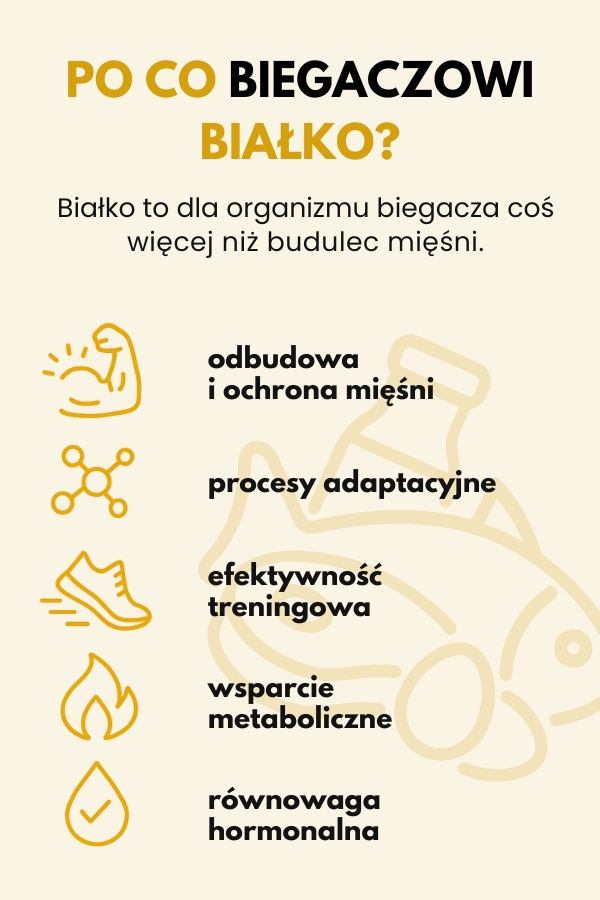 białko przed czy po treningu – korzyści