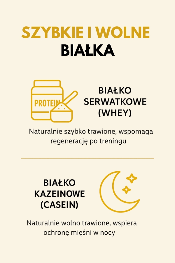 białko szybkie i wolne – rodzaje